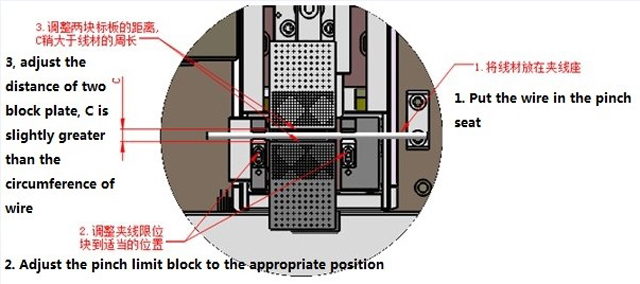 kręta ilustracja.jpg