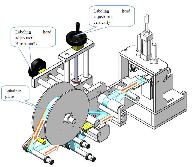 Etykietowanie głowy.jpg